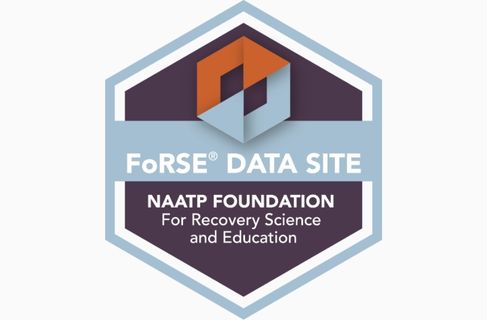 Official FoRSE Data Site seal of approval