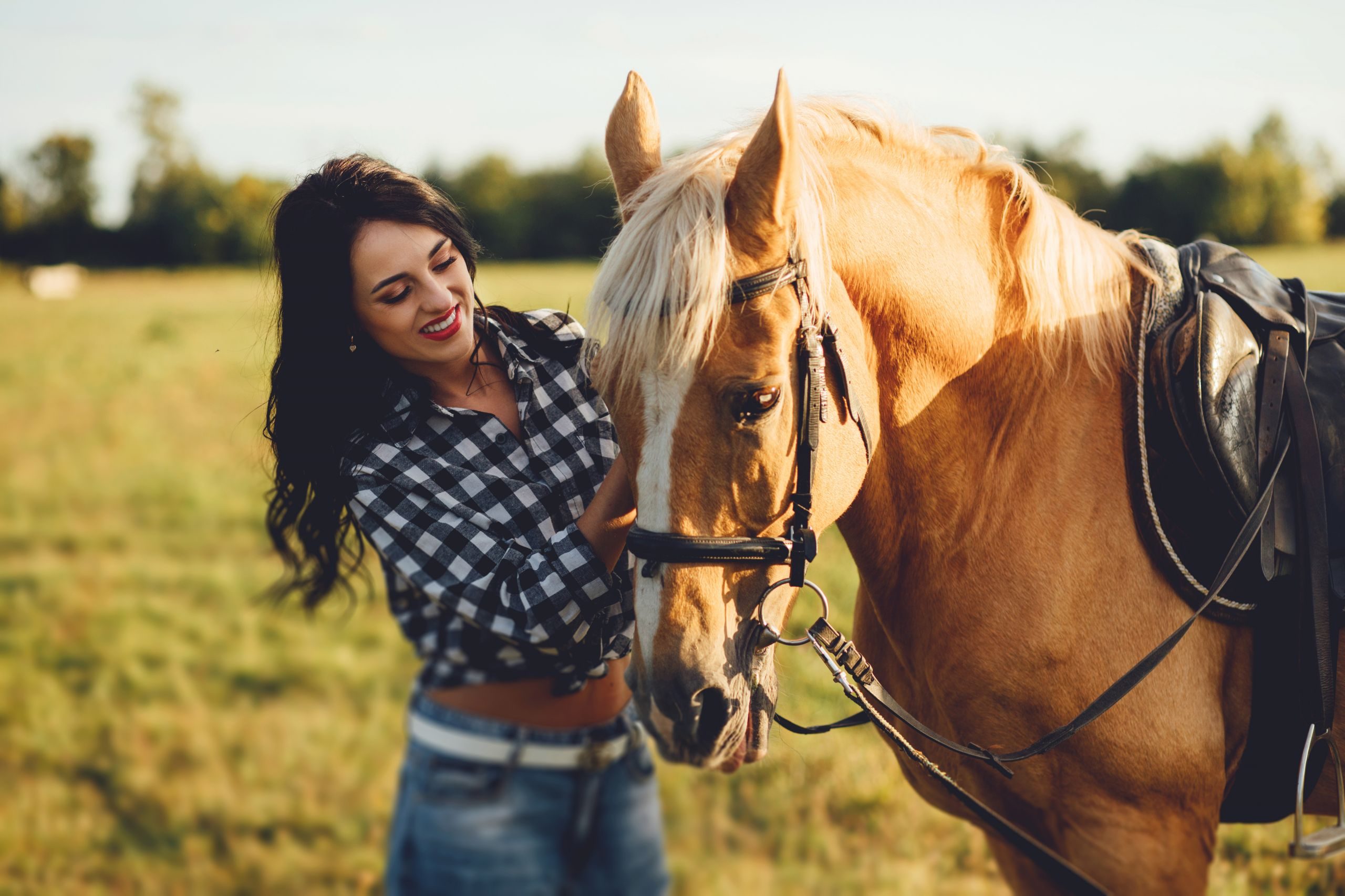Woman working with Horse in Equine therapy - Types of Trauma Therapy